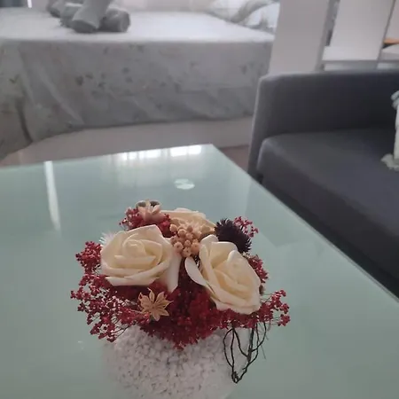Lägenhet Apartamento Rio Algas, Nuevo *