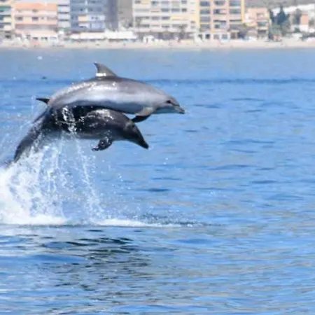 Apartamento Rio Algas, Nuevo Apartment Torremolinos